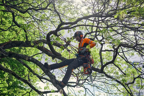 Husqvarna Climbing Harness
