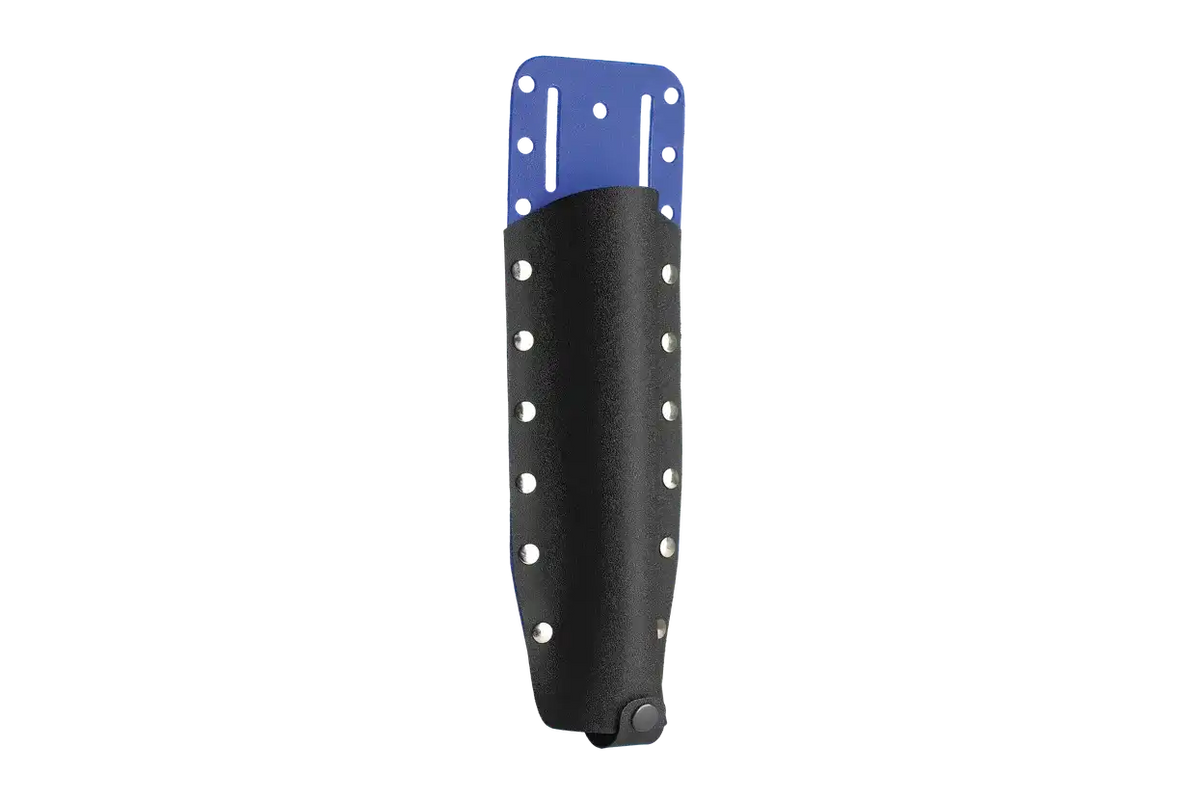 Holster